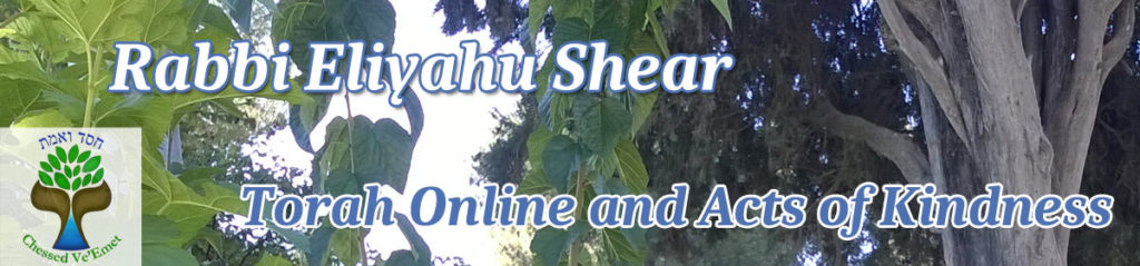 Rabbi Eliyahu Shear Learn Torah Online and Acts of Kindness