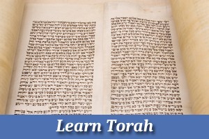Learn Torah Online and In-Person Interactive and Live!