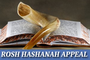 Rosh HaShanah Appeal - Please Help Us!