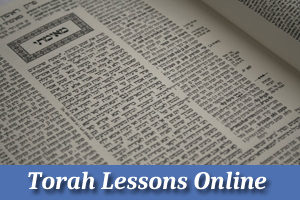 Torah Lessons Online Interactive and Live