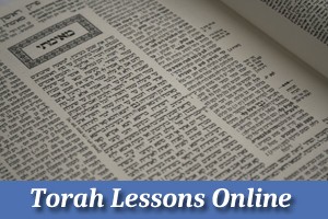 Torah Lessons Online Interactive and Live