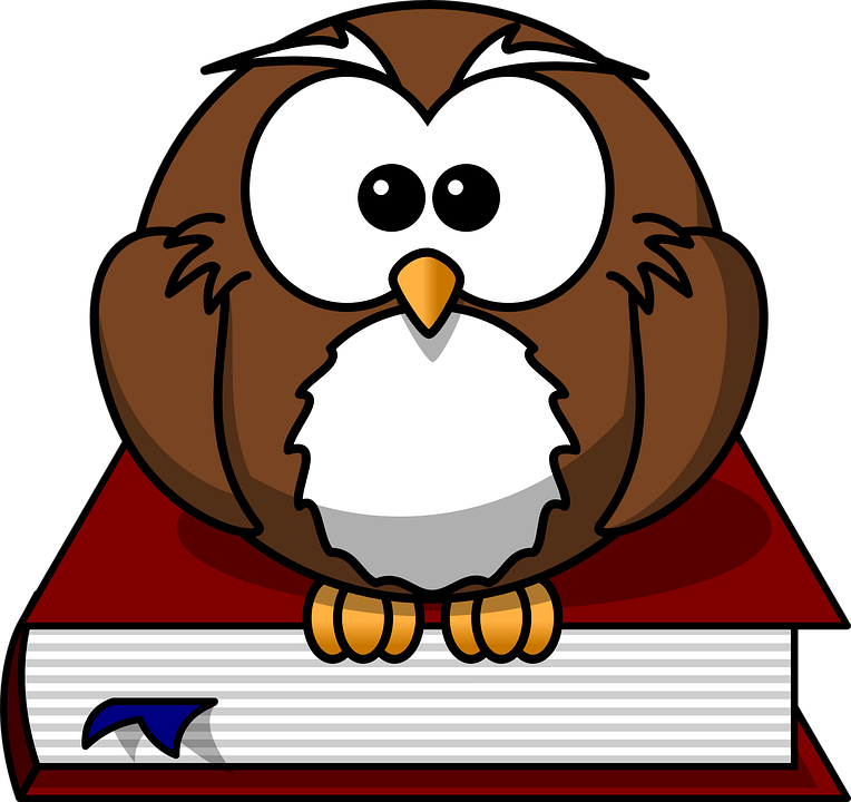 Owl - Teacher