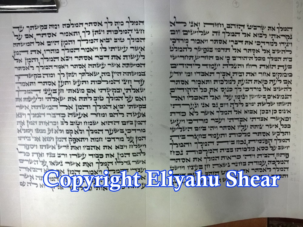 Two columns of a Megillah written by Reb Eliyahu Shear