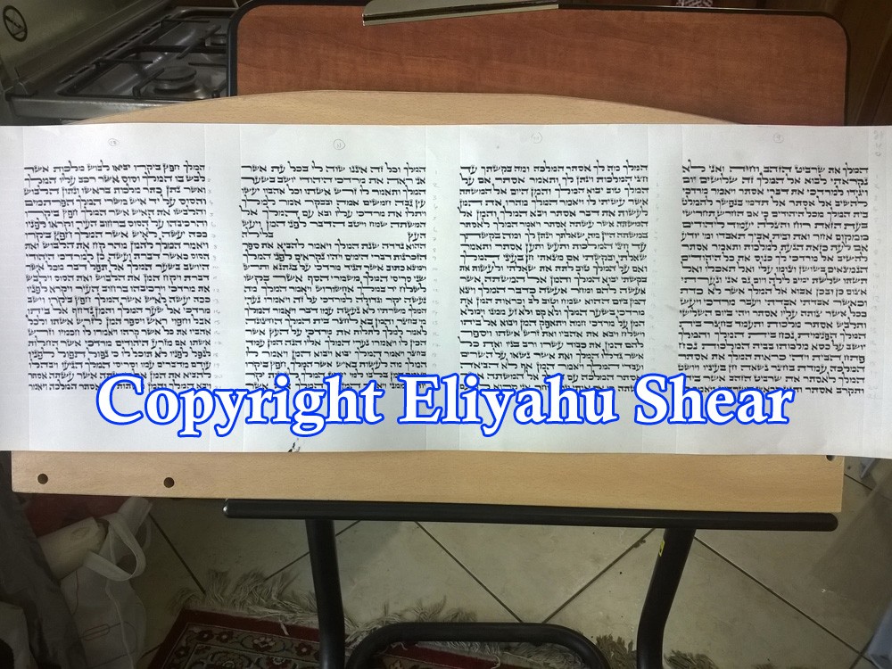Four columns of a Megillah written by Reb Eliyahu Shear