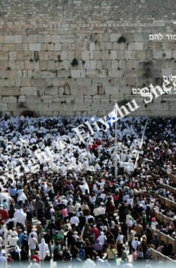 Kohanim Duchaning at the Kotel