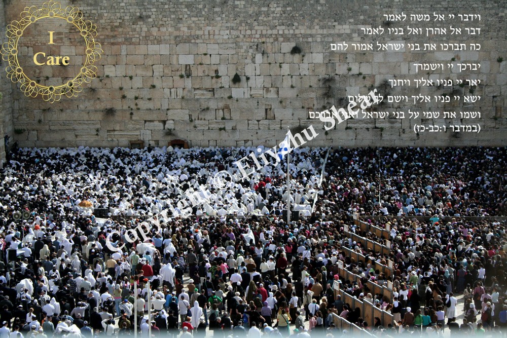 Kohanim Blessing at the Kotel – for Members of the I Care Club