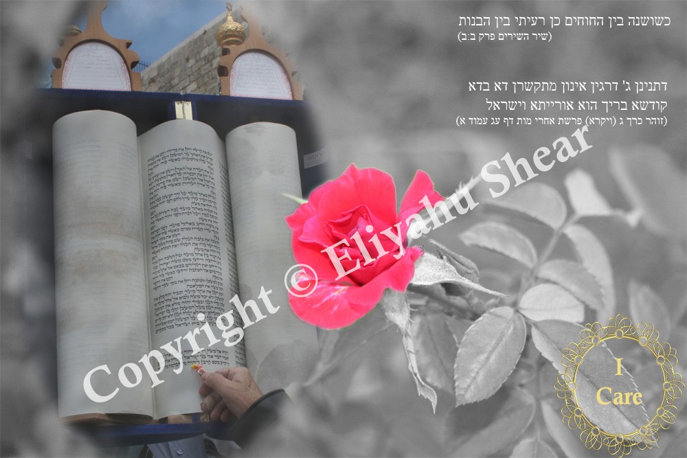 Photograph depicting Jewish people, God and Torah as One