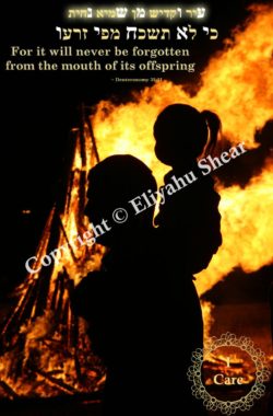 Bonfire with Father and Son on Shoulders - Photograph for Sale