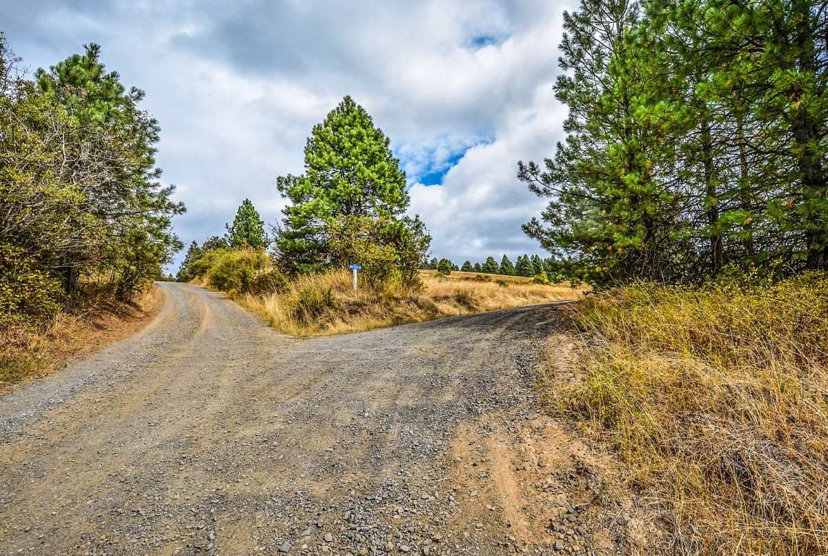 Fork in the Road