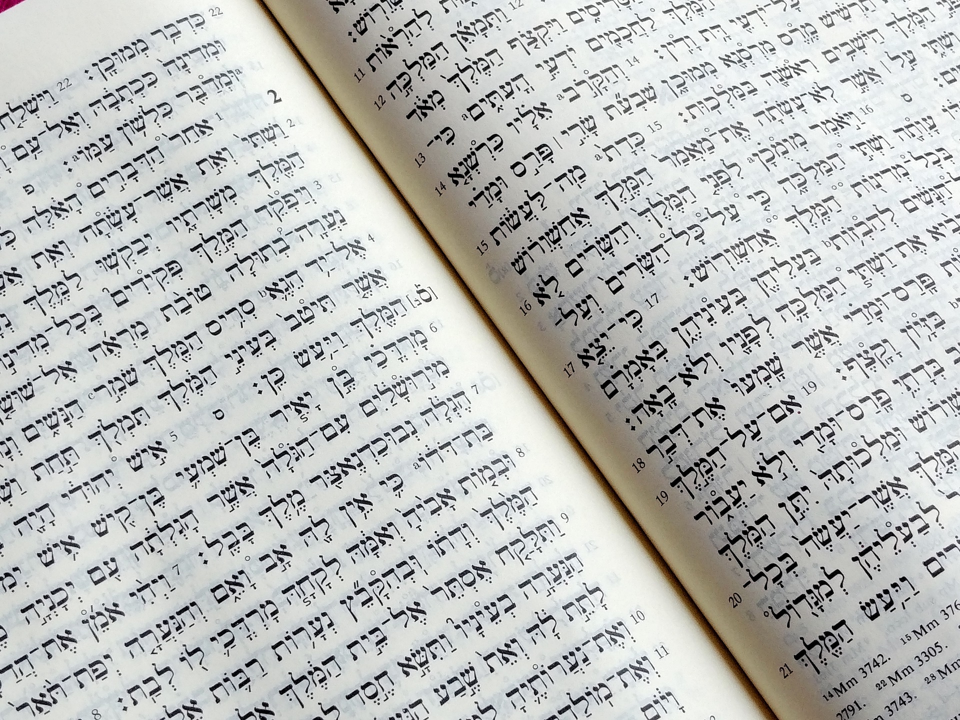 Танах Книга Купить Спб