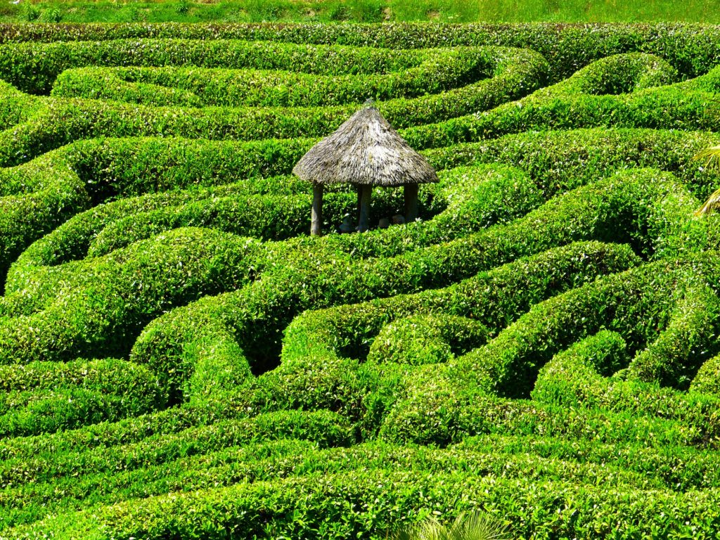 Maze Garden