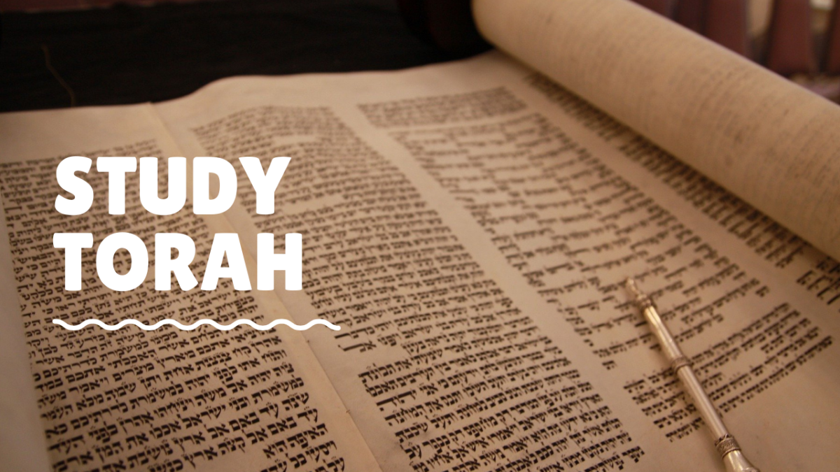Study Torah